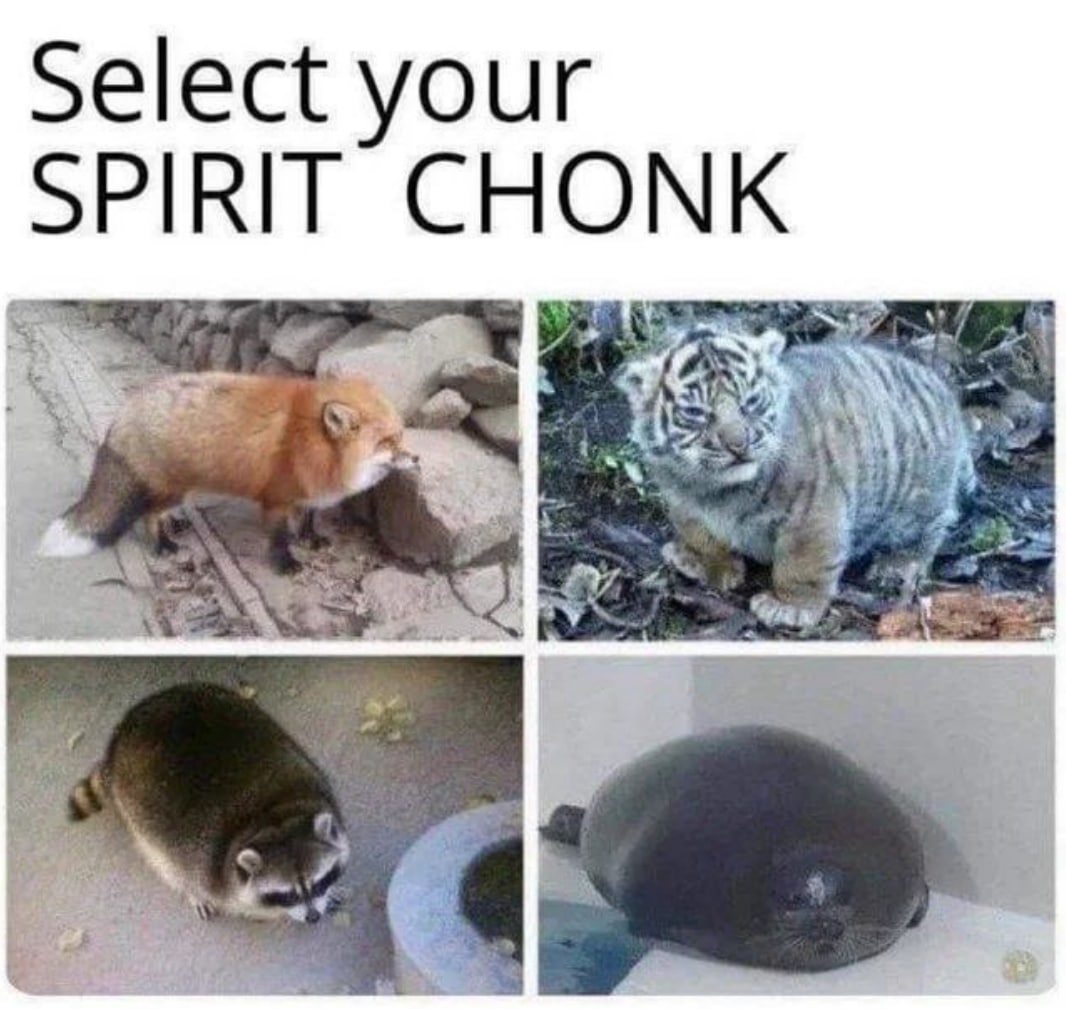 Select your SPIRIT CHONK 2