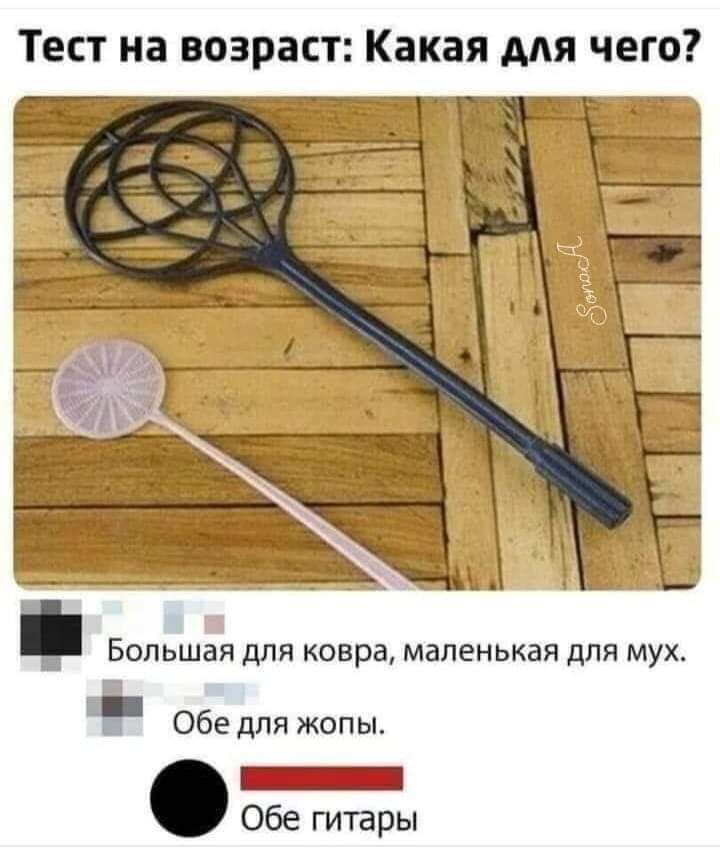 Тест на возраст: Какая для чего? Большая для ковра, маленькая для мух. Обе для жопы. Обе гитары
