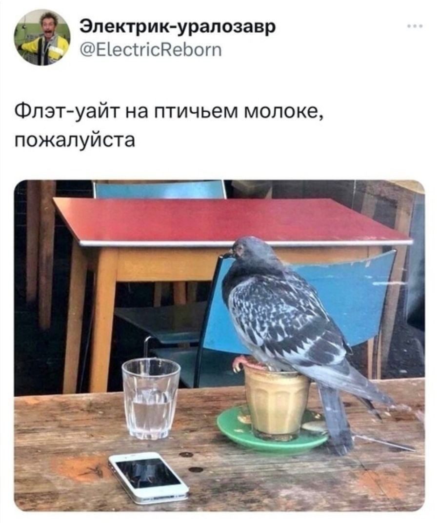 Электрик-уралозавр @ElectricReborn Флэт-уайт на птичьем молоке пожалуйста ANY a