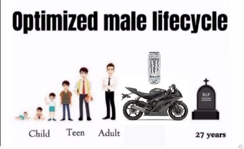Optimized male lifecycle Child Teen Adult 27 years