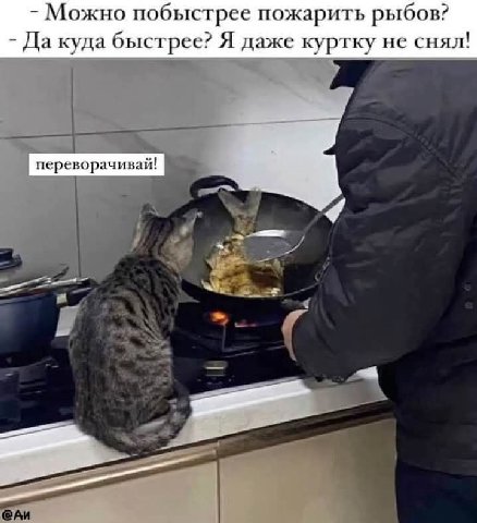 Можно побыстрее пожарить рыбов? Да куда быстрее? Я даже куртку не снял! переворачивай! у 5