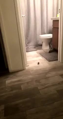 мем