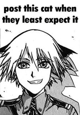 post this cat when they least expect it as 4 4 {7