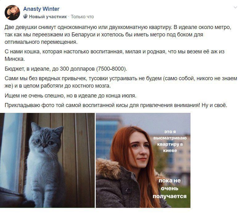 дорогие УКРАИНЦЫ 🇺🇦🇺🇦🇺🇦, хорошие люди и хорошая кошка ищут жильё в Киеве, поэтому, как говорится, хелб