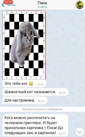 Папа в сети a Это тебе KOT Шахматный кот называется. Для настроения. Кота можно распечатать на лазерном принтере. И будет прикольная картинка Пока! До следующих смс и картинок!