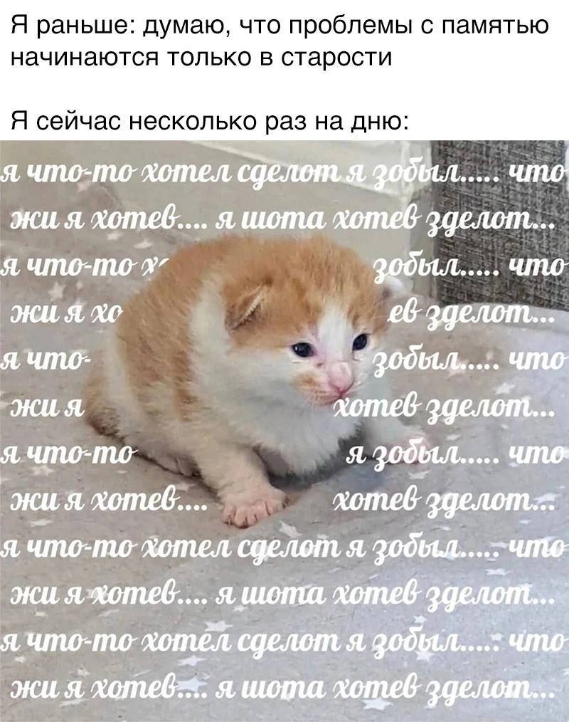 Я раньше: думаю, что проблемы с памятью начинаются только в старости Я сейчас несколько раз на дню: я что-то лотел ABO что я хотеб.... я шота хотеб эделот... я что: Я, что я. что-то я з0дЫыл..... хоте