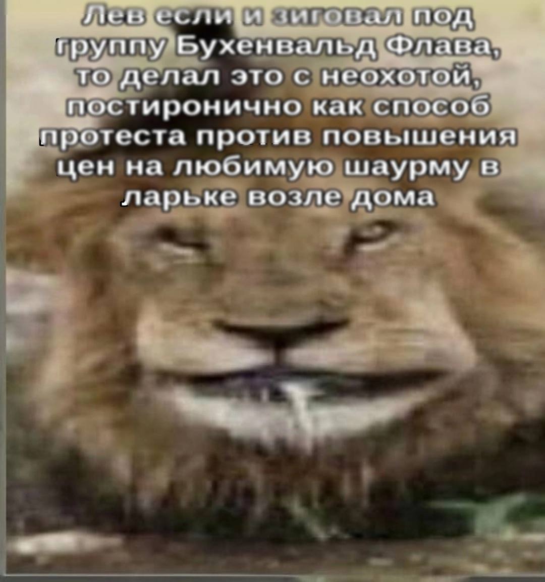 группу то, делал это с неохотой, постиронично как способ протеста против повышения цен на любимую шаурму в ларьке возле дома ‘2