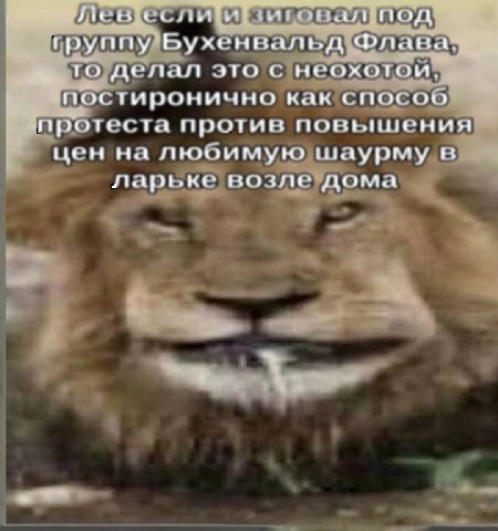 группу то, делал это с неохотой, постиронично как способ протеста против повышения цен на любимую шаурму в ларьке возле дома ‘2