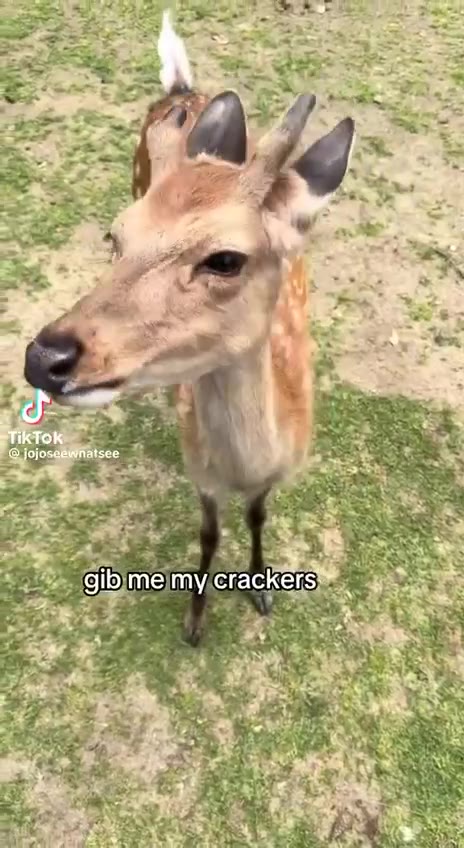 🔊