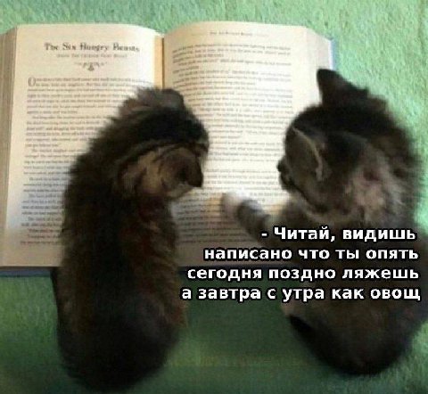 Читай, видишь написано что ты опять сегодня поздно ляжешь а завтра с утра как овощ