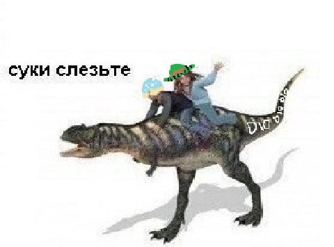 СУКИ СЛЕЗЬТЕ