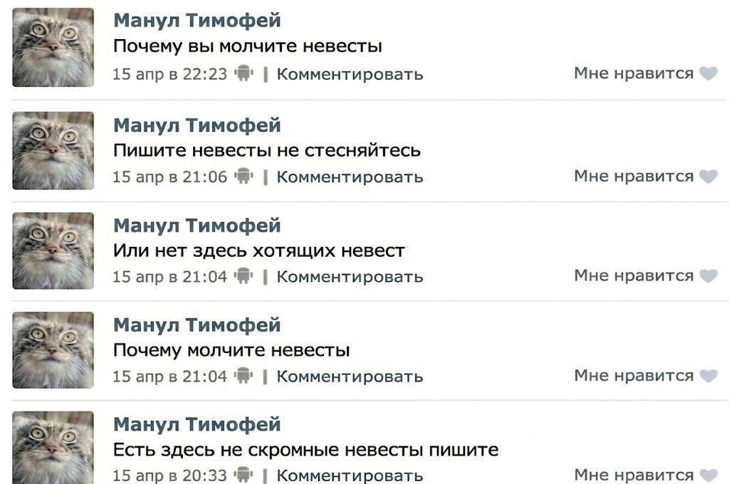 Манул Тимофей Почему вы молчите невесты 15 апрв 22:23 Комментировать Мне нравится Манул Тимофей Пишите невесты не стесняйтесь 15 21:06 Комментировать Мне нравится 5 Манул Тимофей Или нет здесь хотящих
