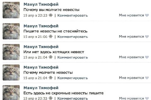 Манул Тимофей Почему вы молчите невесты 15 апрв 22:23 Комментировать Мне нравится Манул Тимофей Пишите невесты не стесняйтесь 15 21:06 Комментировать Мне нравится 5 Манул Тимофей Или нет здесь хотящих