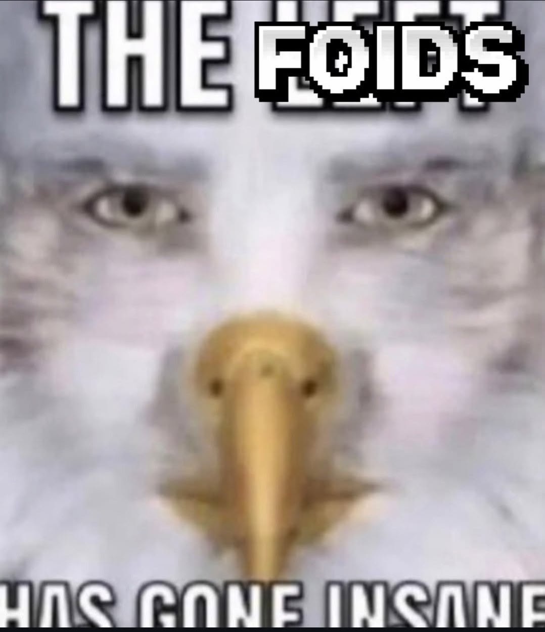 THE FOIDS une RANE INCINE