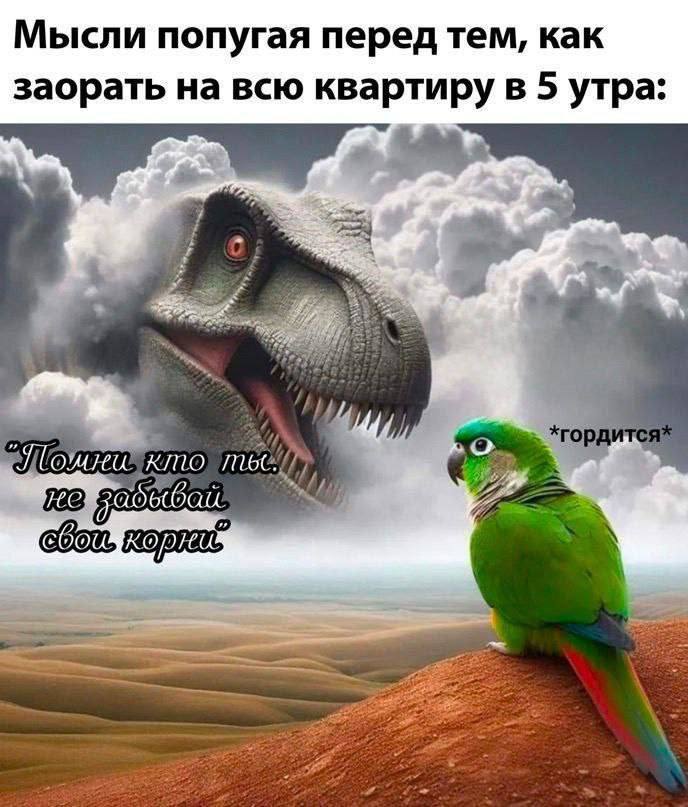 Мысли попугая перед тем, как заорать на всю квартиру в 5 утра: Я