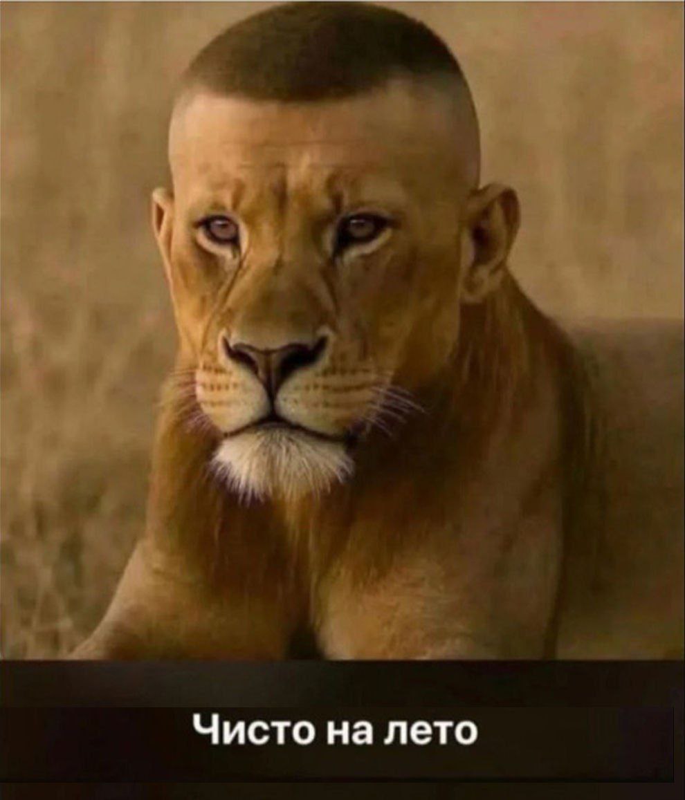 Чисто на лето
