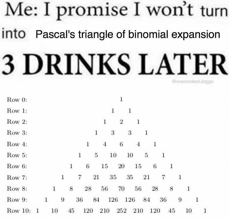 Me: I promise I won't turn into Pascal's triangle of binomial expansion 3 DRINKS LATER Row 0 Row Row 1 Row 3 3 Row 1 6 Row 10 10 6 6 6 Row 1 15 20 15 1 Row 21 35 35 21 i 1 Row 8 8 25 56 70 56 28 8 Row