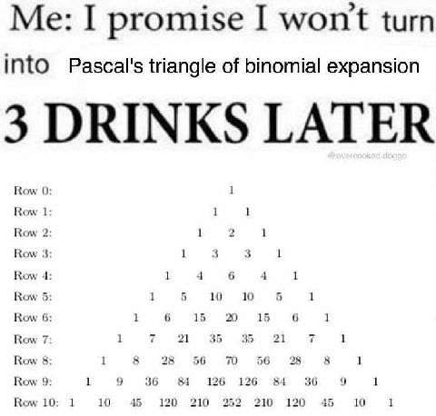 Me: I promise I won't turn into Pascal's triangle of binomial expansion 3 DRINKS LATER Row 0 Row Row 1 Row 3 3 Row 1 6 Row 10 10 6 6 6 Row 1 15 20 15 1 Row 21 35 35 21 i 1 Row 8 8 25 56 70 56 28 8 Row
