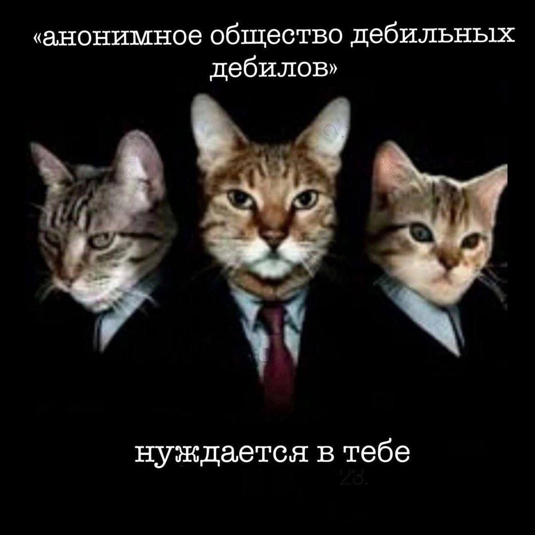‹анонимное общество дебильных дебилов» нуждается в тебе
