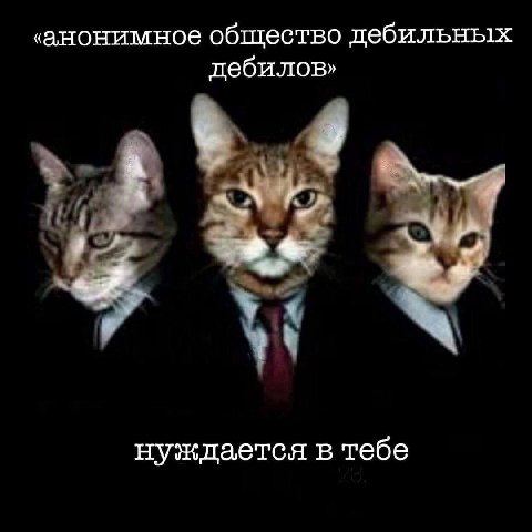 ‹анонимное общество дебильных дебилов» нуждается в тебе