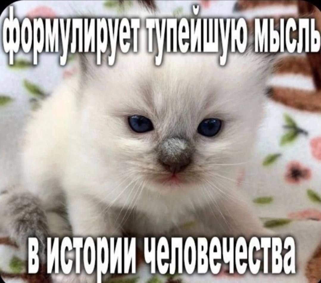 J TMV, MBIGNb a Eg > = — ВИСТОСИИ ЧОЛОВЕМЕСТВа