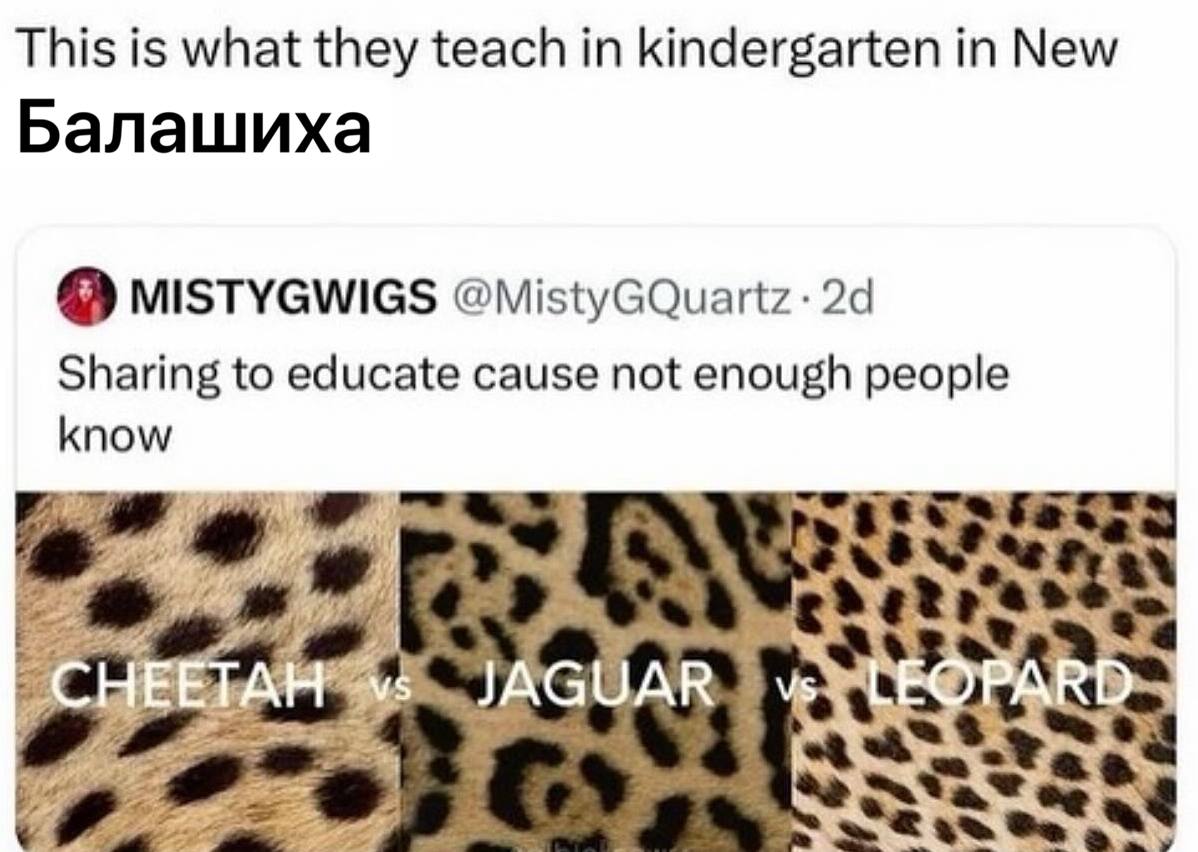 This is what they teach in kindergarten in New Балашиха MISTYGWIGS Sharing to educate cause not enough people know я
