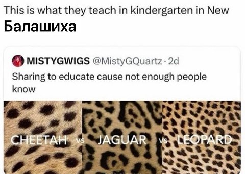 This is what they teach in kindergarten in New Балашиха MISTYGWIGS Sharing to educate cause not enough people know я