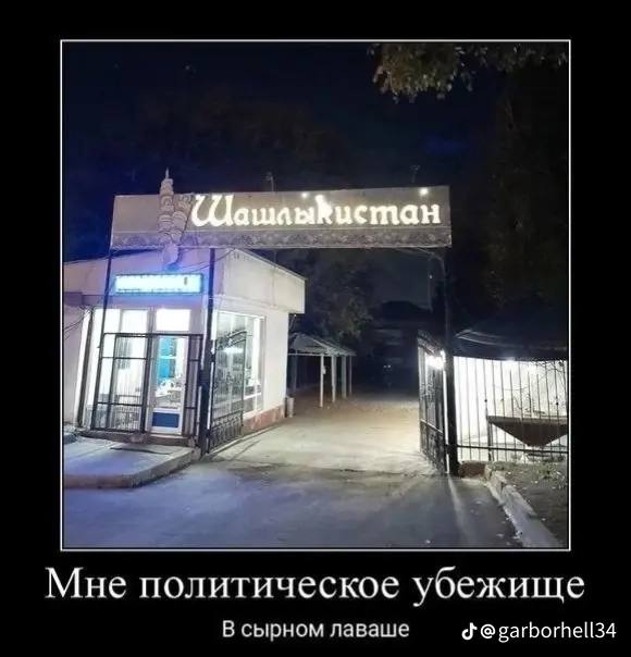 Мне политическое убежище В сырном лаваше garborhell34