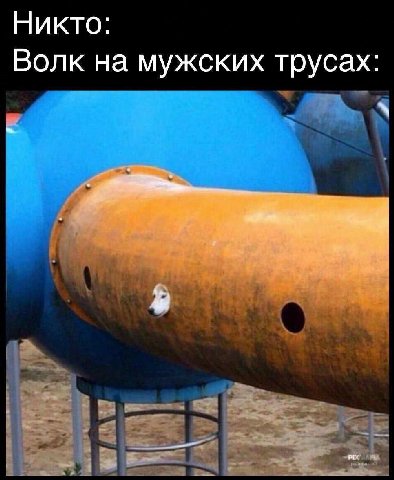 Никто: Волк на мужских трусах: