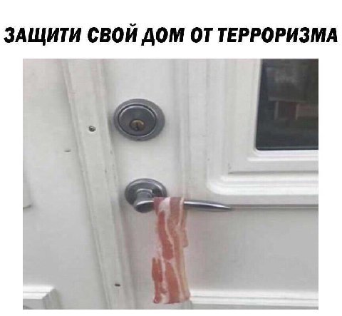 ЗАЩИТИ СВОЙ ДОМ ОТ ТЕРРОРИЗМА
