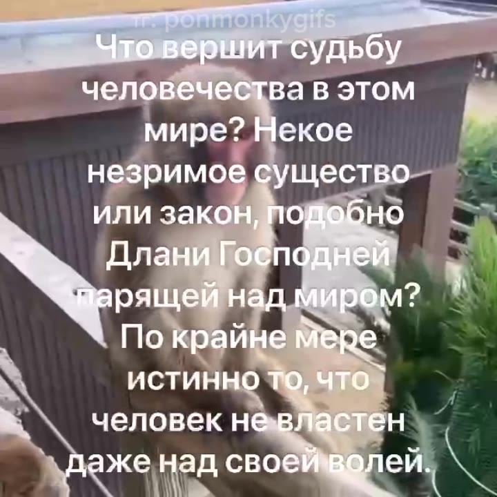 человечества В ЭТОМ. „г мире? Некое 3 sp незримое существо © илиЗакён, яедобно > ‹ —По крайне мере “1 человек не мен Grae над своей воле Sag товершит судьбу | -- “Чтовершитсудьбу — nap над миром" «оло