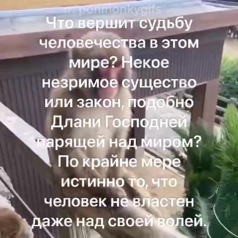 человечества В ЭТОМ. „г мире? Некое 3 sp незримое существо © илиЗакён, яедобно > ‹ —По крайне мере “1 человек не мен Grae над своей воле Sag товершит судьбу | -- “Чтовершитсудьбу — nap над миром" «оло