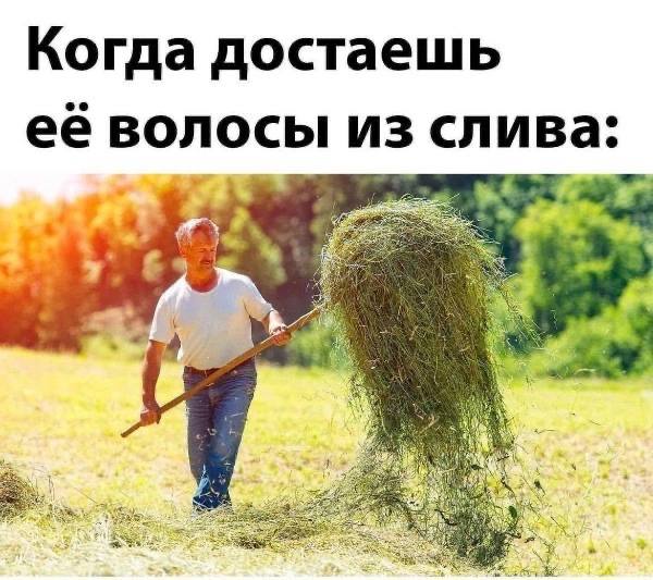 Когда достаешь её волосы из слива: Я 5$