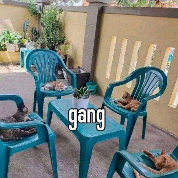 i к i i и