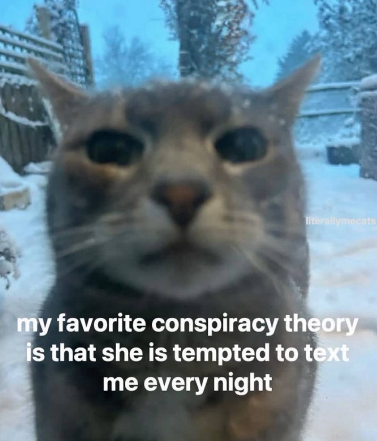 1 terallymegats my favorite conspiracy theory is that she is tempted to me every night
