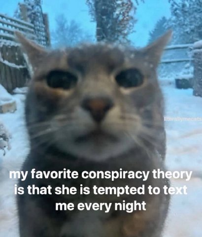 1 terallymegats my favorite conspiracy theory is that she is tempted to me every night