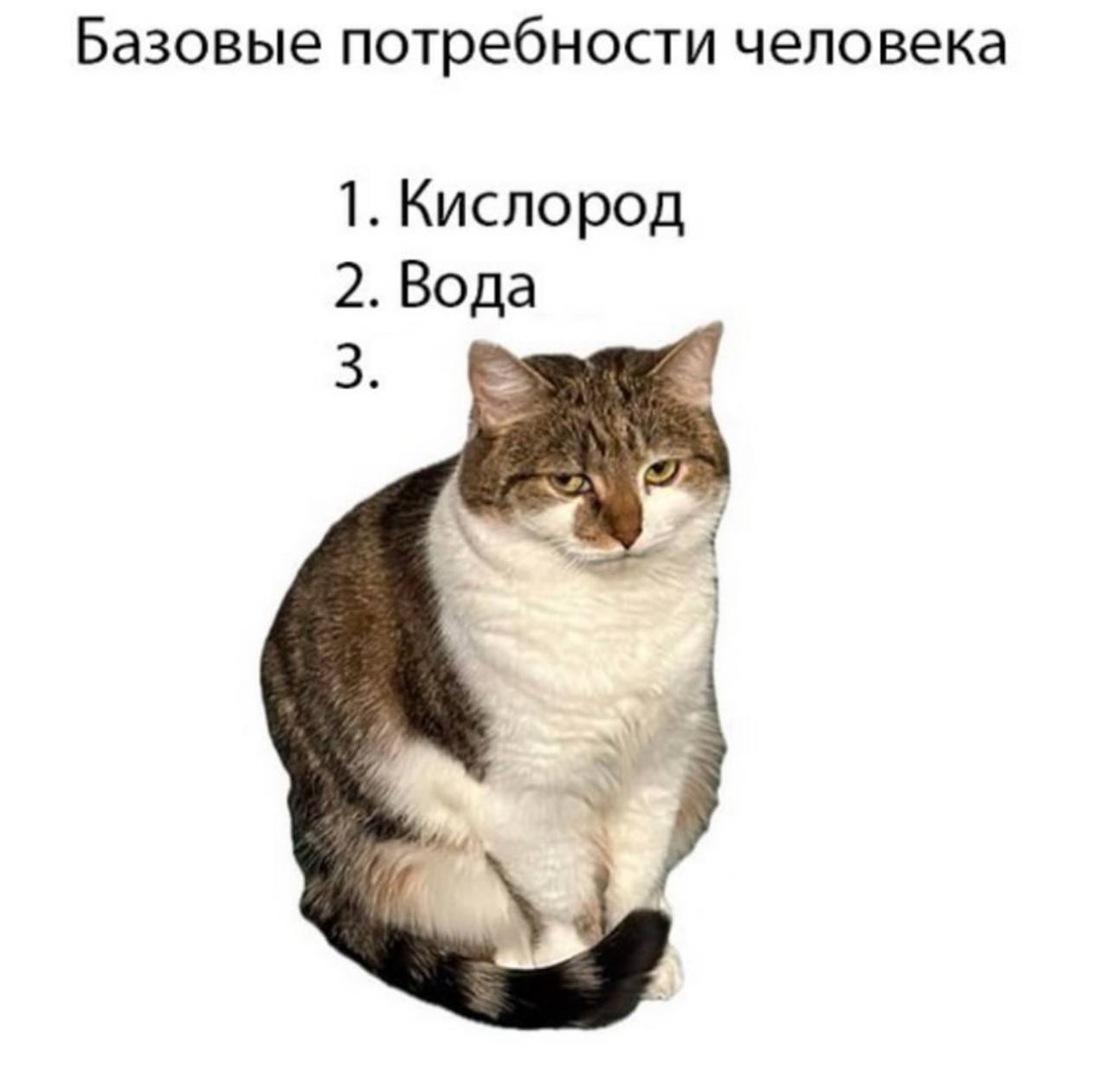 Базовые потребности человека 1. Кислород 2. Вода