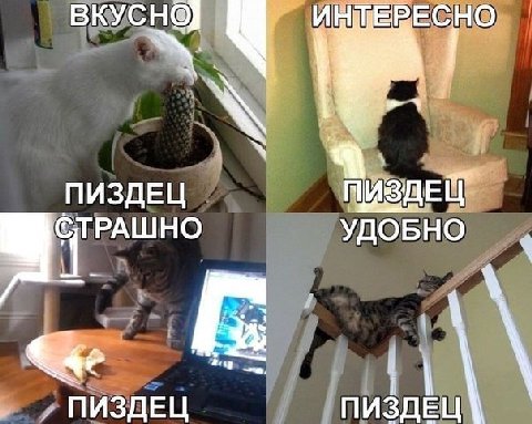 ВКУСН@ ПИЗДЕЦ РАШНО УДОБНО ПИЗДЕЦ ПИЗДЕЦ