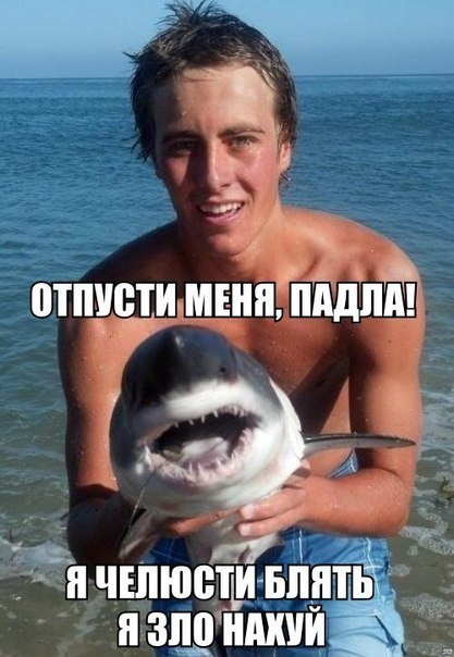 ОТПУСТИ МЕНЯ, ПАДЛА! Я ЧЕЛЮСТИ БЛЯТЬ. Я ЗЛО НАКУЙ