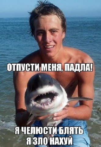 ОТПУСТИ МЕНЯ, ПАДЛА! Я ЧЕЛЮСТИ БЛЯТЬ. Я ЗЛО НАКУЙ