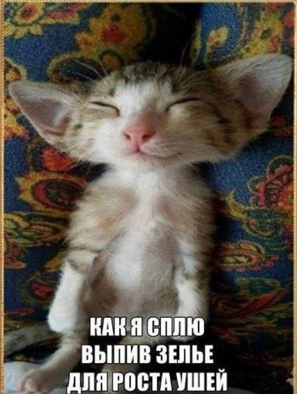 КАК Я СПЛЮ ВЫПИВ ЗЕЛЬЕ ДЛЯ РОСТА УШЕЙ