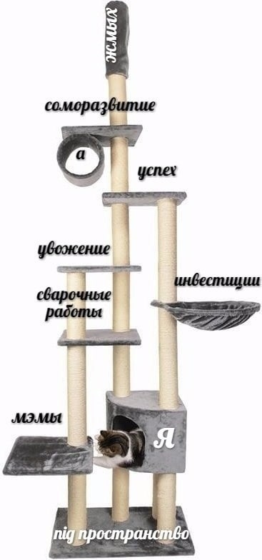 ли успех мэмы in остра