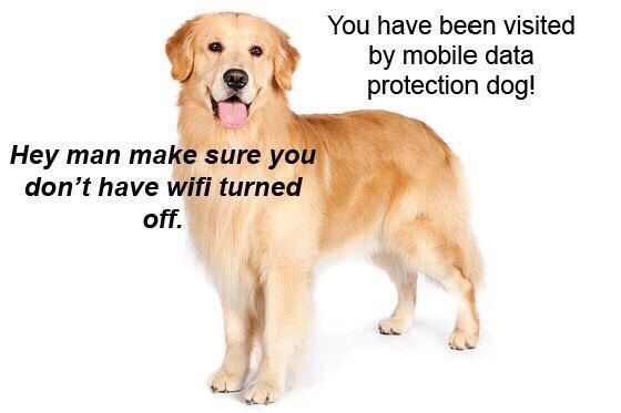You have been visited mobile data protection dog! Hey man make sure don’t have wifiturned К. у