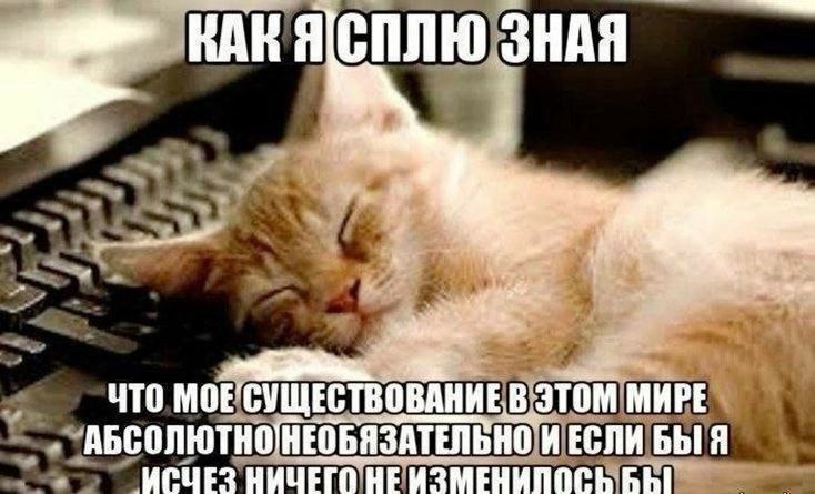 КАК ЗНАЯ ЧТО МОЕСУЩЕСТВОВАНИЕВ ЭТОМ МИРЕ АБСОЛЮТНО'НЕОБЯЗАТЕЛЬНО И ЕСЛИ ИСЧЕЗ НИЧЕГО HE