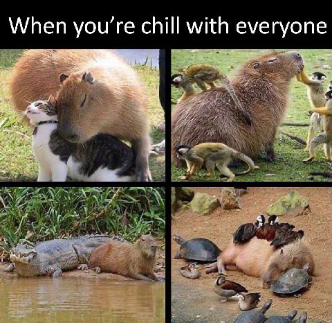 When уоц’ге chill with everyone
