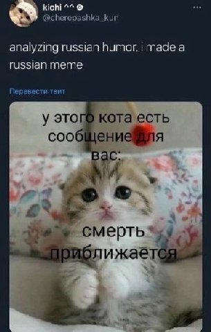 "this cat have a message for you:
death is approaching"
he gets it
