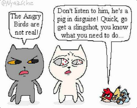 Don't listen to him, he's а pig in disguise! Quick, get a slingshot, you know not reall what you need to
