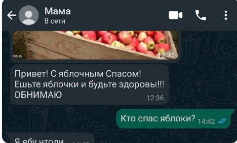 Мама В сети Привет! С яблочным Спасом! Ешьте яблочки и будьте здоровы!!! ОБНИМАЮ 12:36 Кто спас яблоки? Я