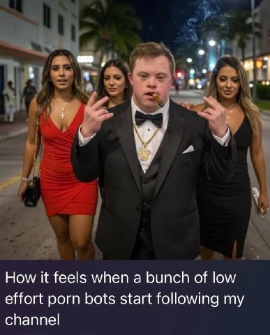 7 How it feels when а bunch of low effort porn bots start following my channel