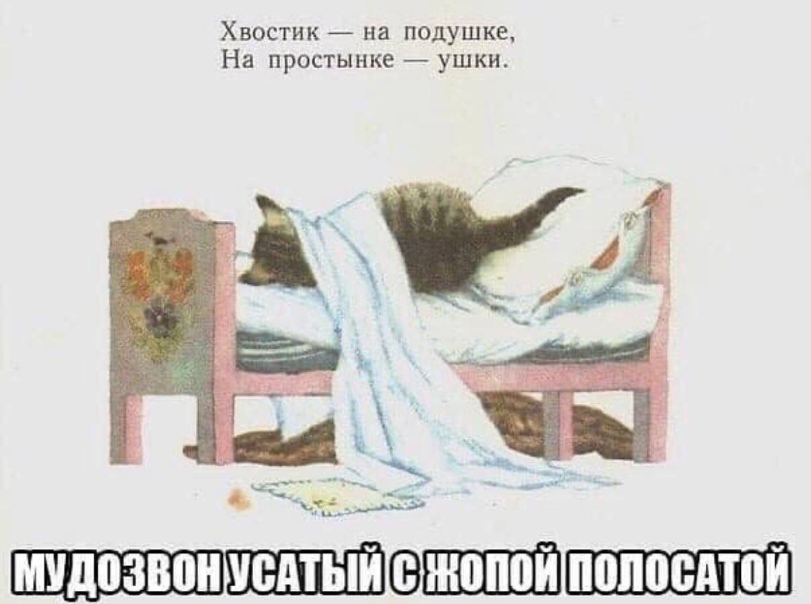 Хвостик на подушке, На простынке ушки. if я
